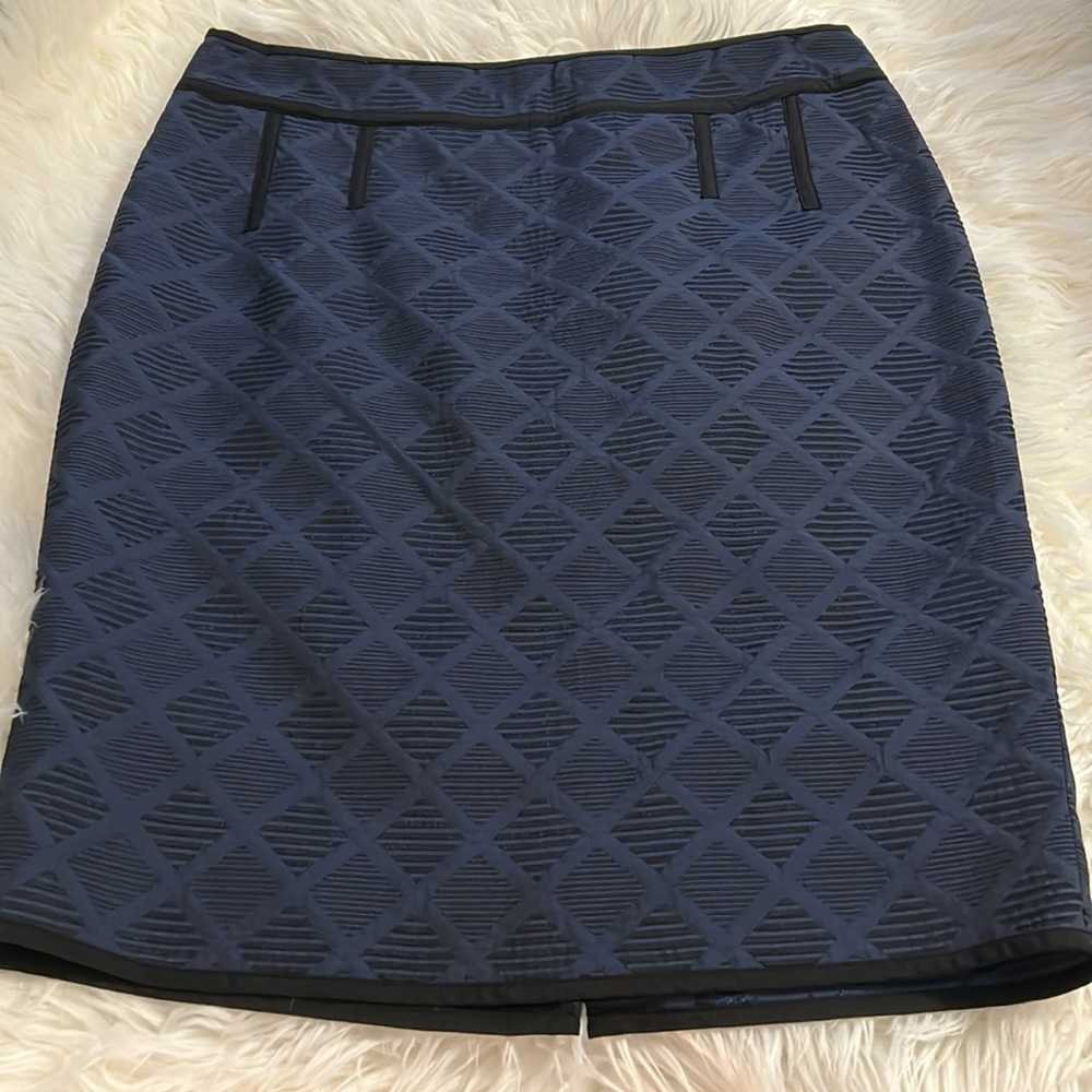 🌸NWOT Gorgeous Ann Taylor Skirt Navy with Black Size 10 Never Worn